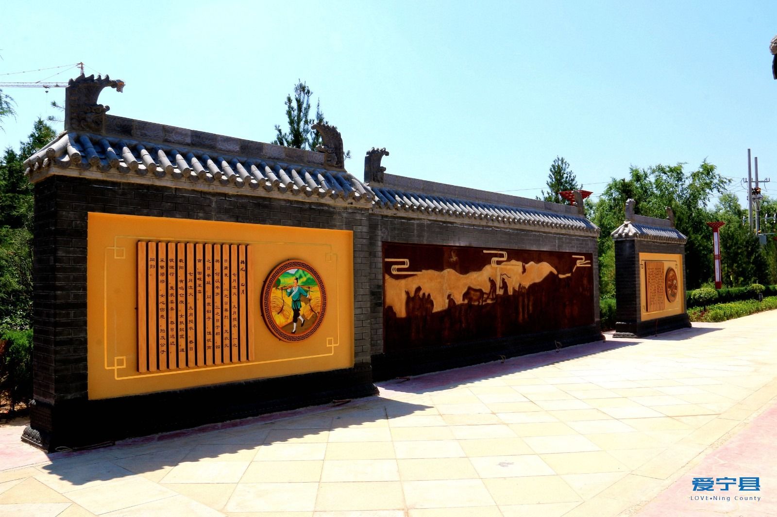 图片 (4)