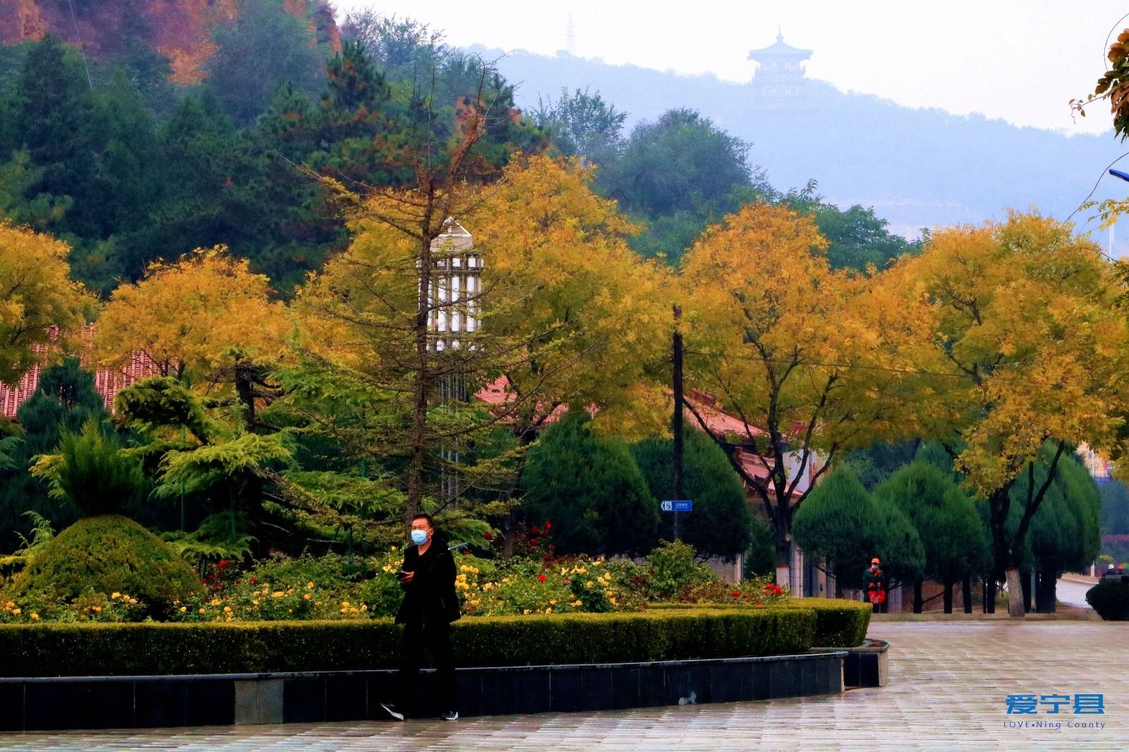 图片 (17)