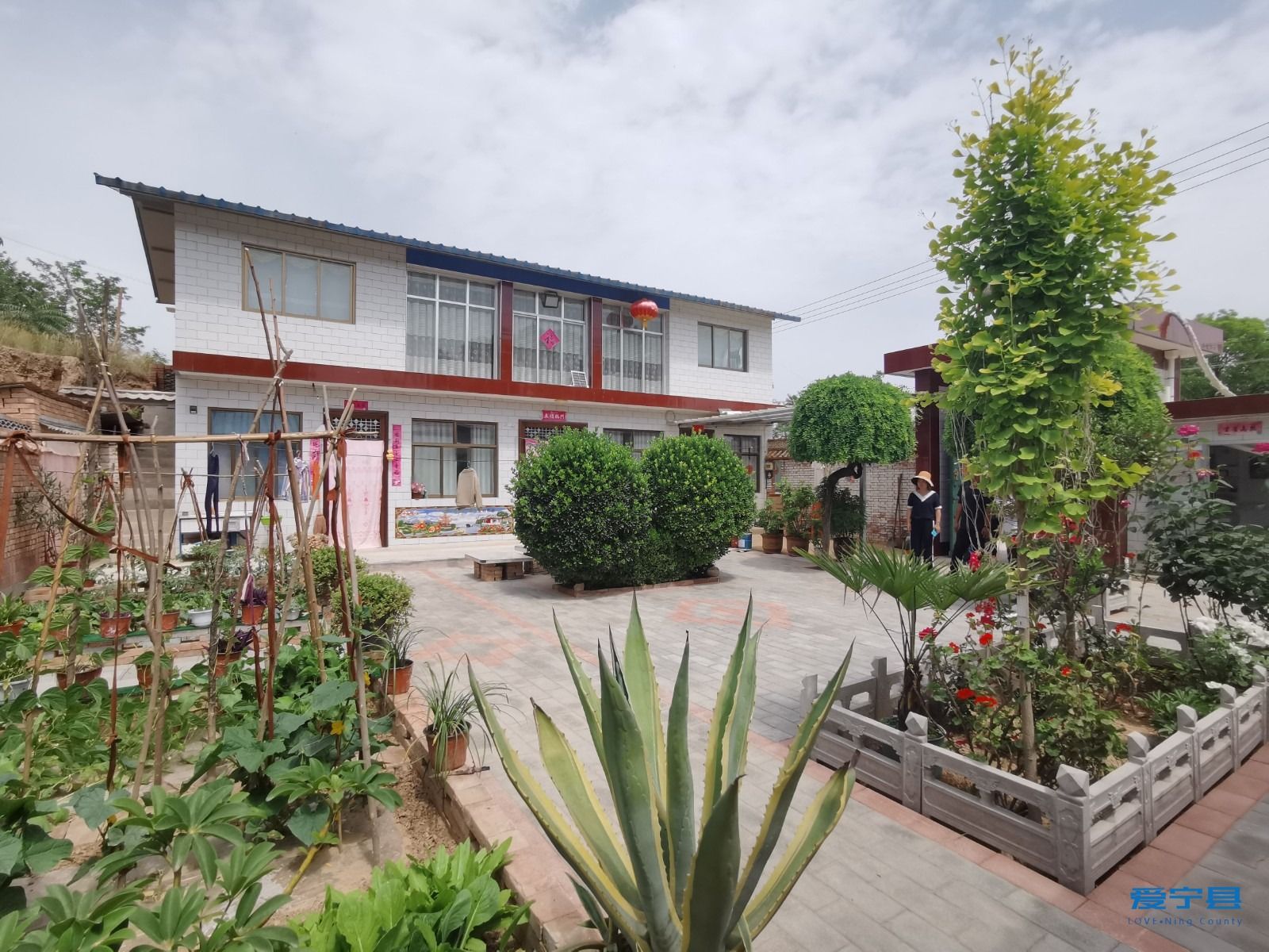 1ece994d9565e665fda56e5102832d0 1ece994d9565e665fda56e5102832d0