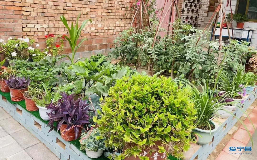 微信图片_20221130152019 微信图片_20221130152019