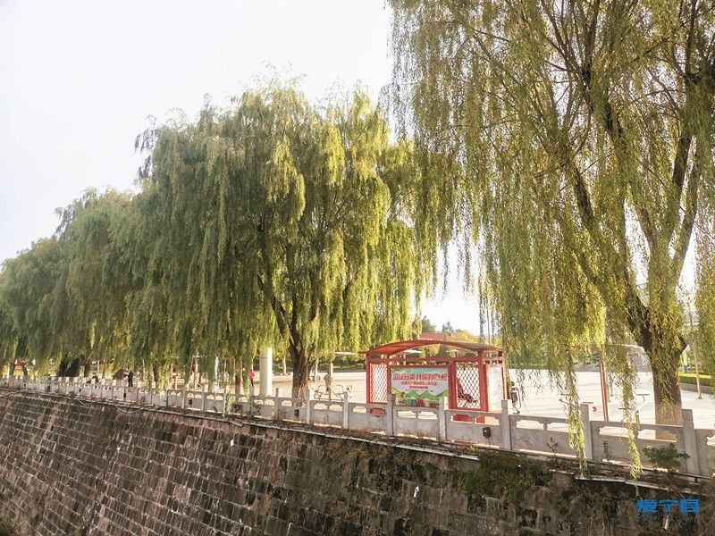 微信图片_20231020092224
